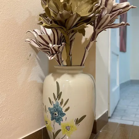 Old Street 2 Séjour chez l'habitant