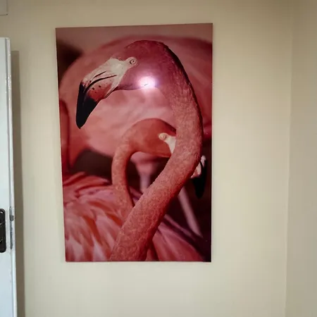 Séjour chez l'habitant Old Street 2 Podgorica