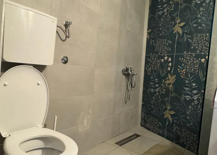 Old Street 2 Habitación en casa particular Podgorica