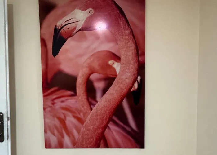 Habitación en casa particular Old Street 2 Podgorica